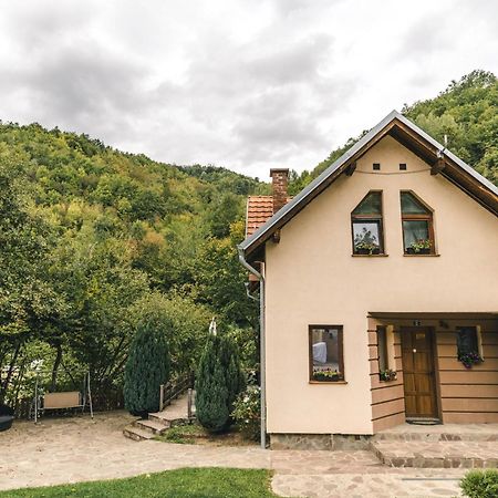 Lodge Zeleni Svet Crni Vrh Exteriér fotografie
