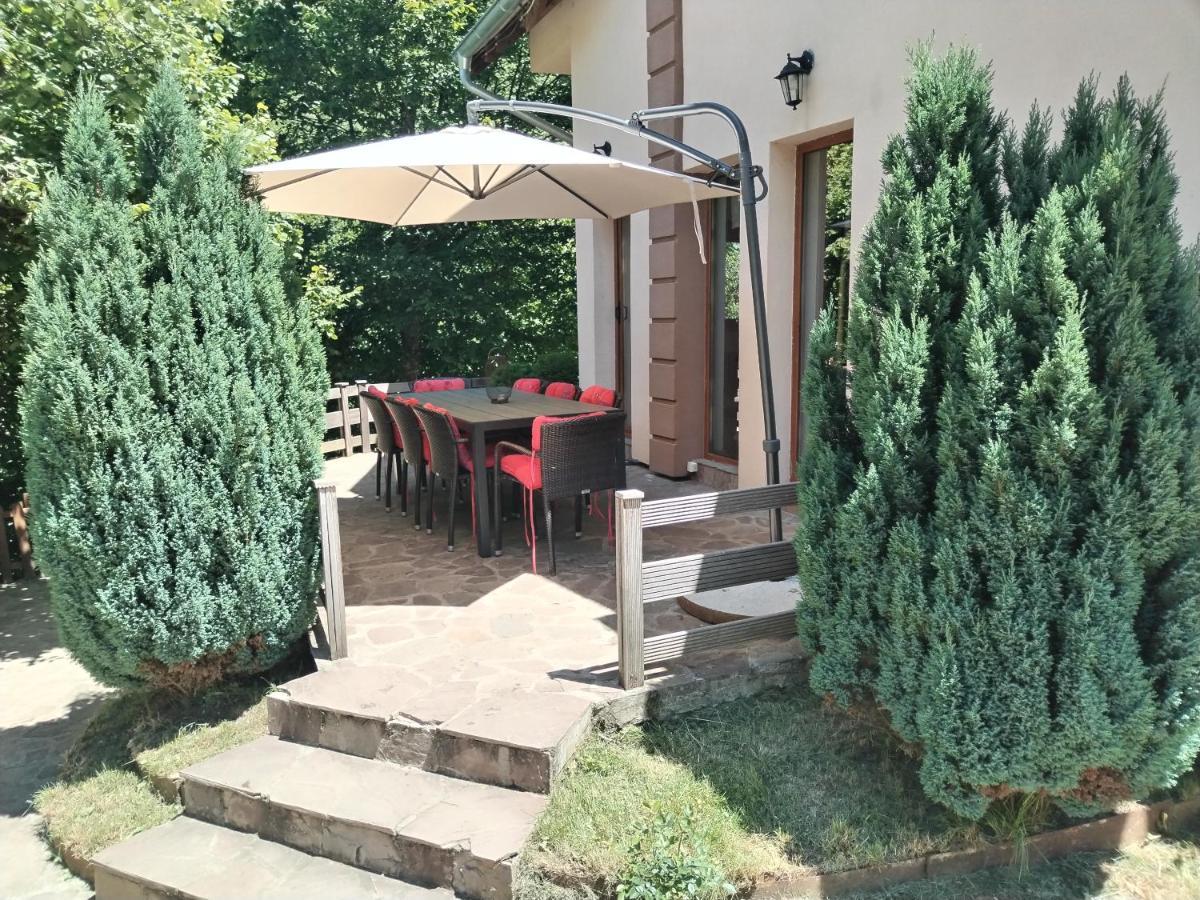 Lodge Zeleni Svet Crni Vrh Exteriér fotografie