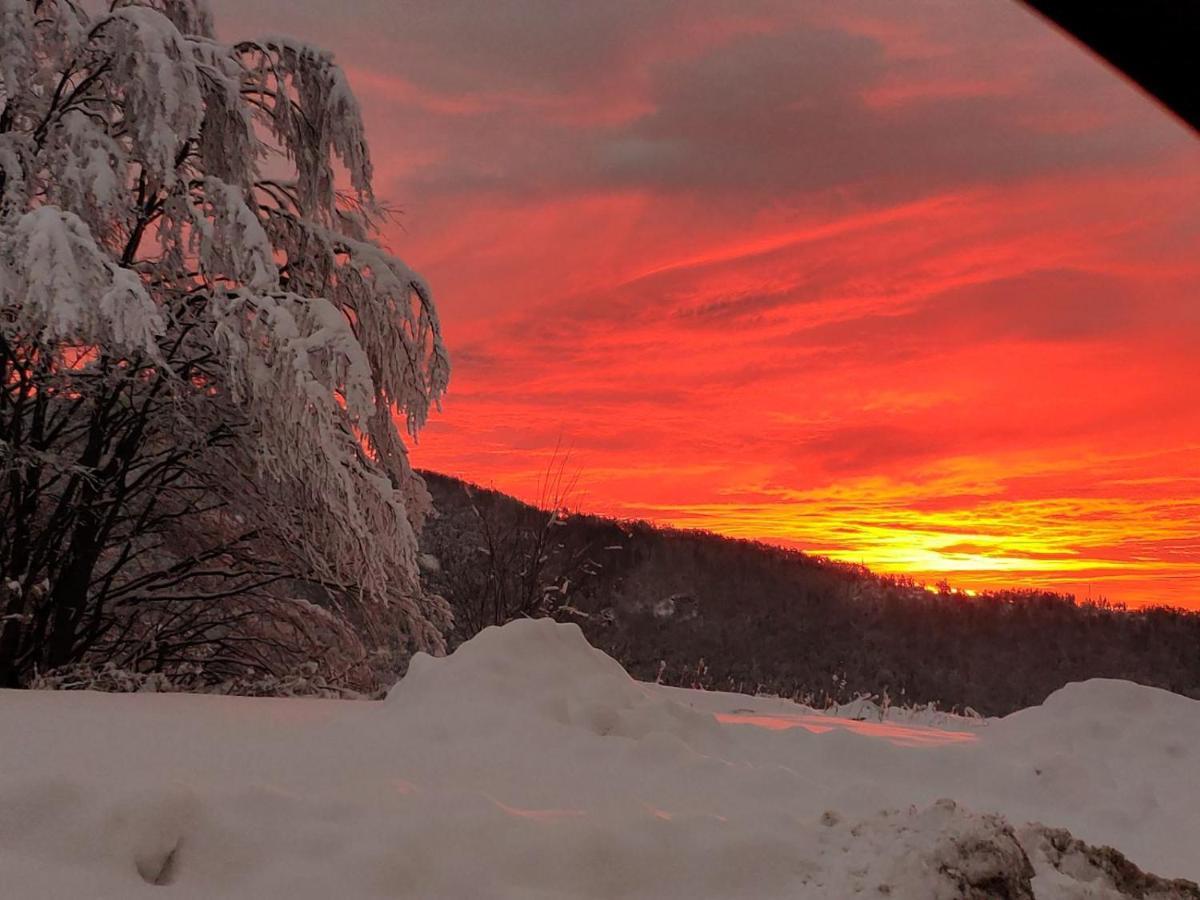 Lodge Zeleni Svet Crni Vrh Exteriér fotografie